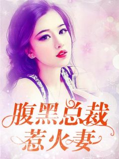 傅总又在求夫人复婚了全本阅读