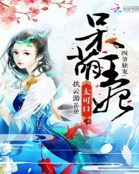 四爷独宠：呆萌王妃太可口